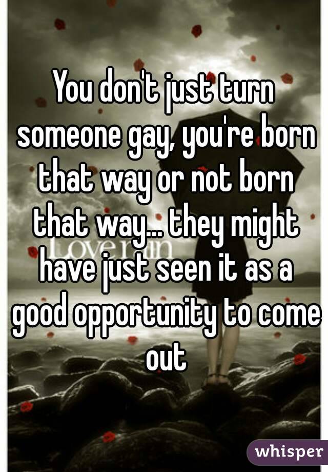 You don't just turn someone gay, you're born that way or not born that way... they might have just seen it as a good opportunity to come out