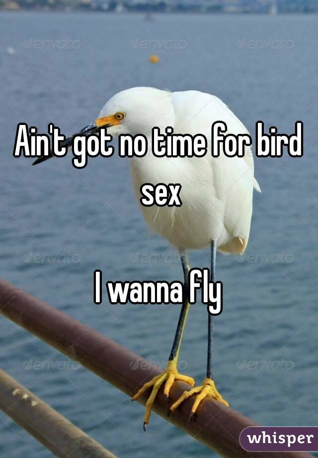 Ain't got no time for bird sex

I wanna fly