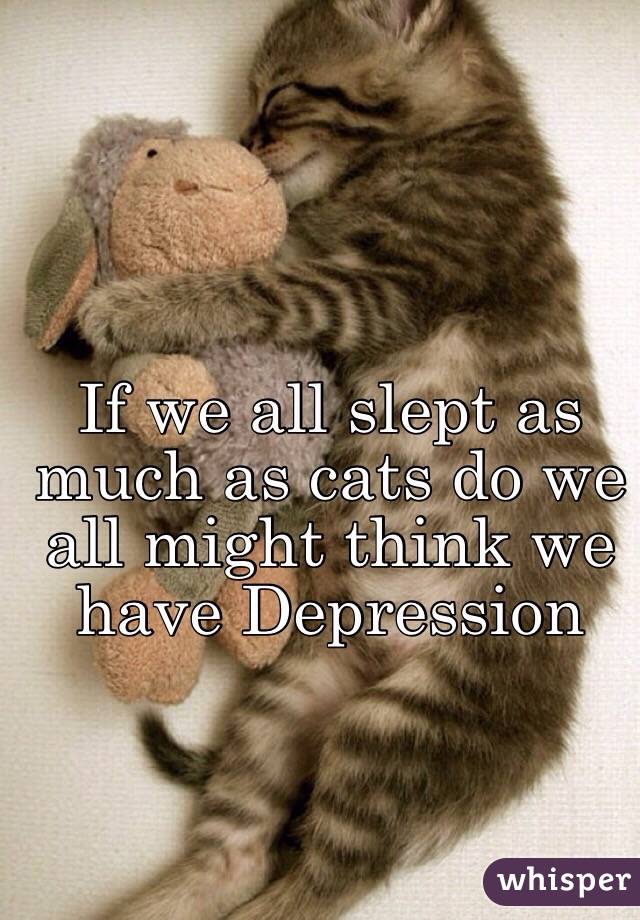 If we all slept as much as cats do we all might think we have Depression 