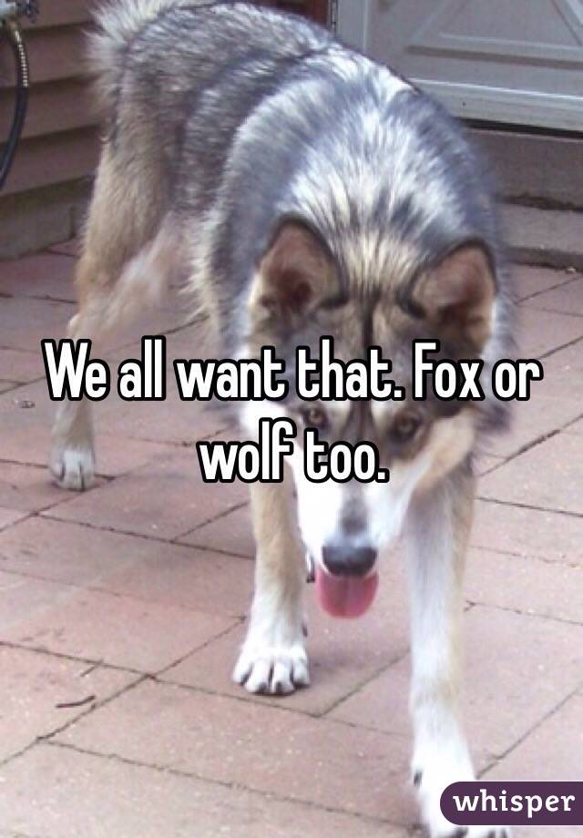 We all want that. Fox or wolf too.