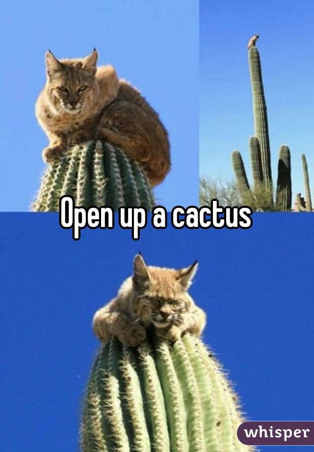 Open up a cactus