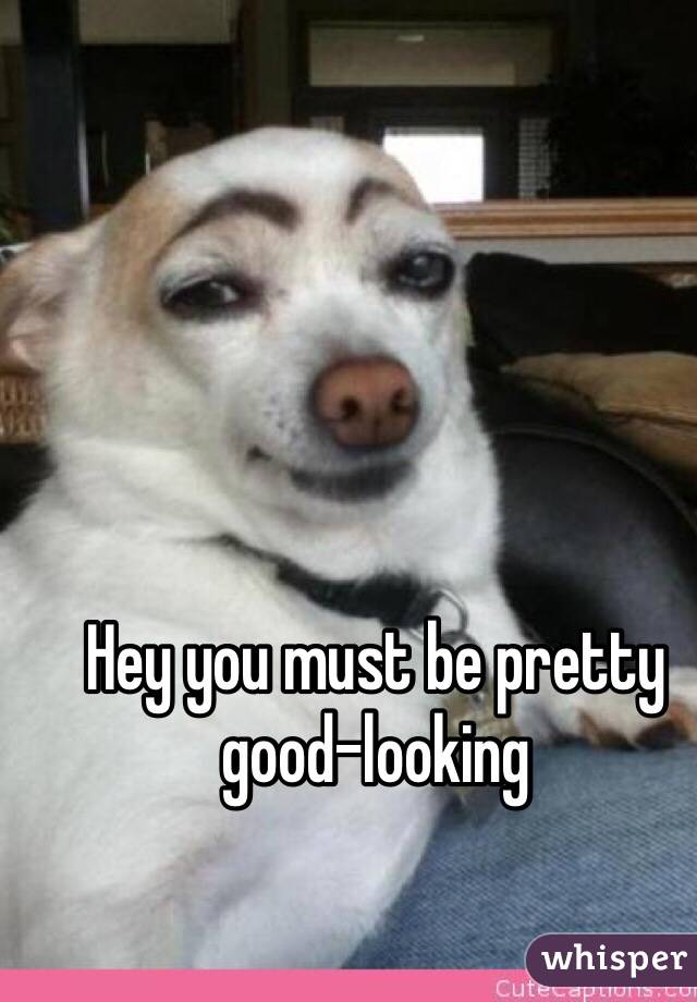 Hey you must be pretty good-looking