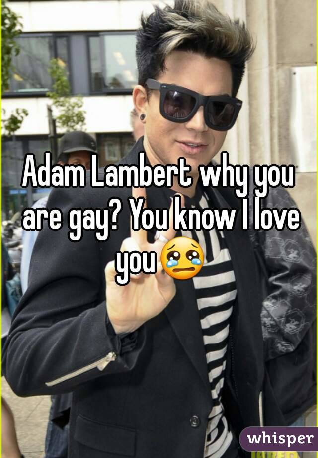 Adam Lambert why you are gay? You know I love you😢