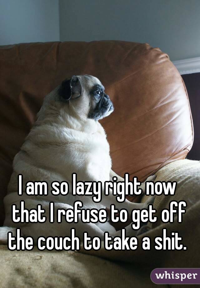 I am so lazy right now that I refuse to get off the couch to take a shit. 
