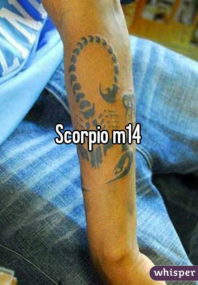Scorpio m14