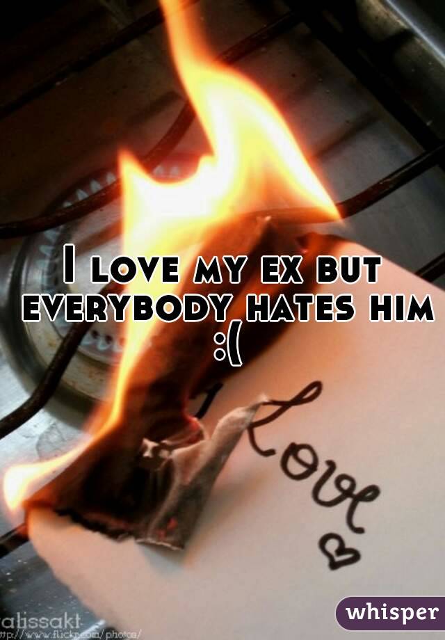 I love my ex but everybody hates him :(