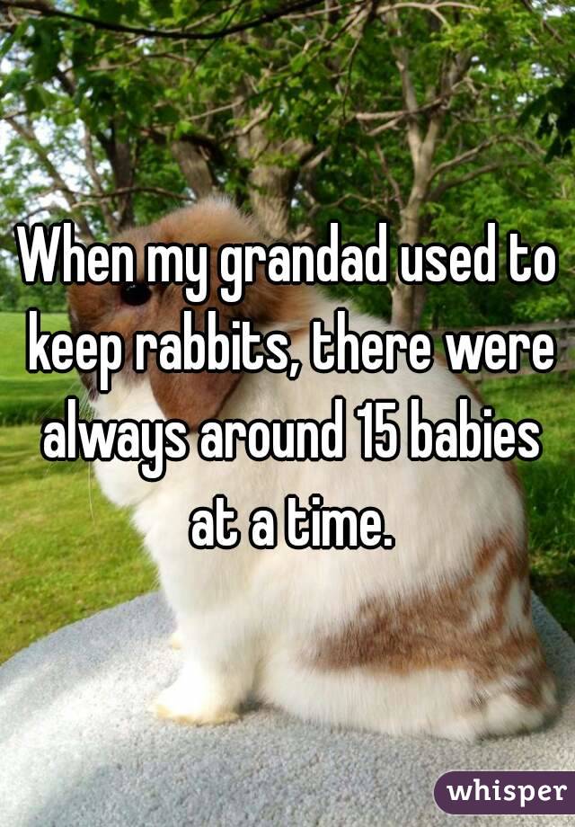 When my grandad used to keep rabbits, there were always around 15 babies at a time.