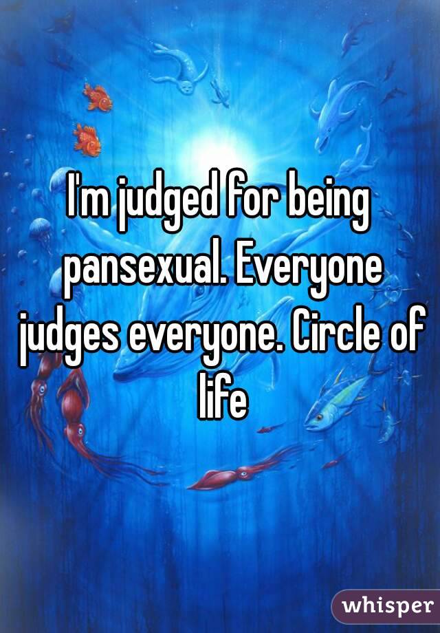 I'm judged for being pansexual. Everyone judges everyone. Circle of life