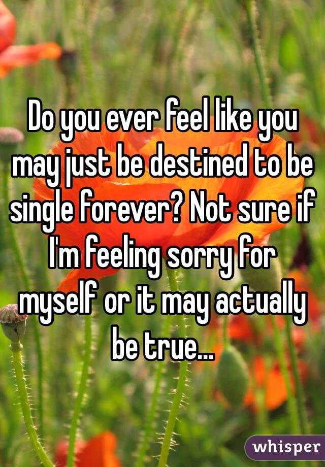 Do you ever feel like you may just be destined to be single forever? Not sure if I'm feeling sorry for myself or it may actually be true...
