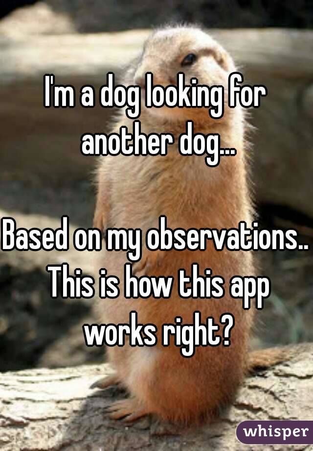 I'm a dog looking for another dog...

Based on my observations.. This is how this app works right?