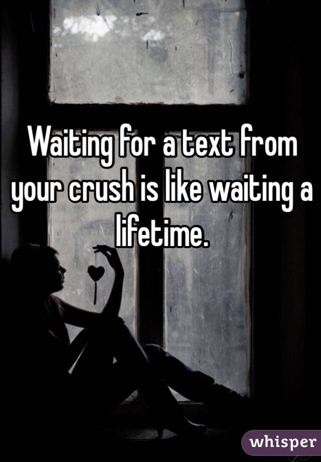 Waiting for a text from your crush is like waiting a lifetime.