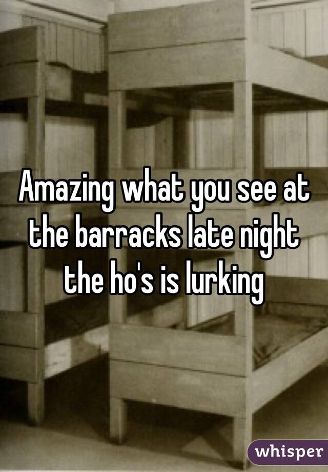 Amazing what you see at the barracks late night the ho's is lurking 