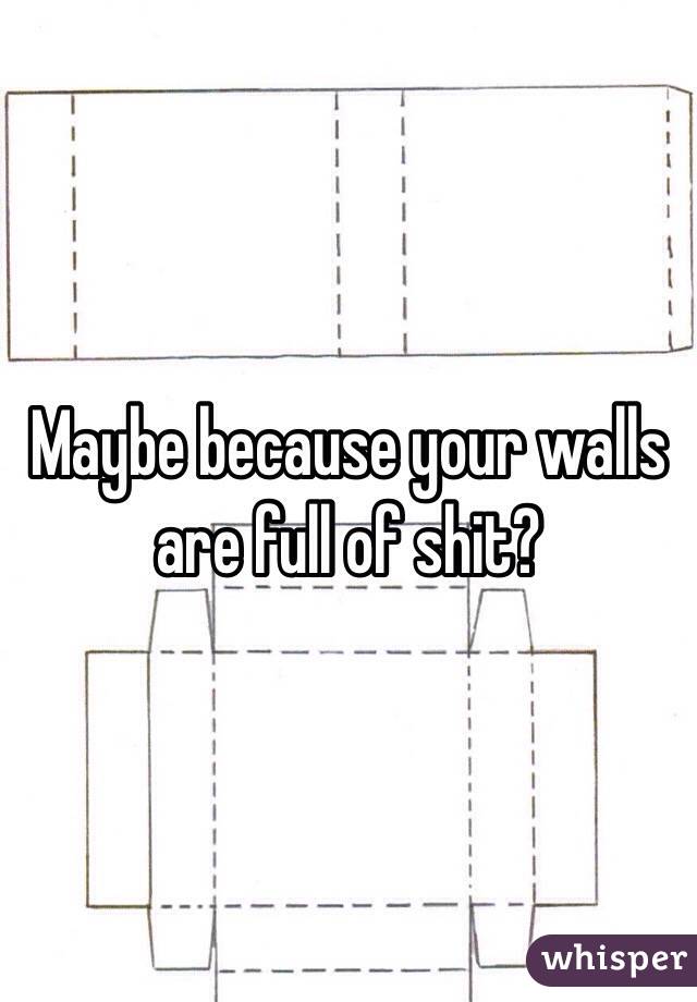 Maybe because your walls are full of shit? 