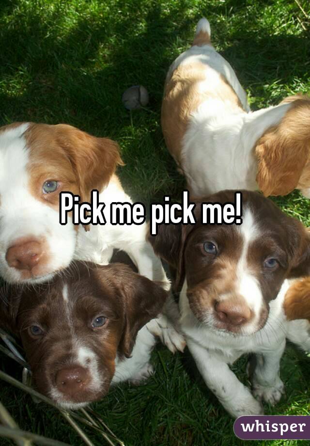 Pick me pick me! 