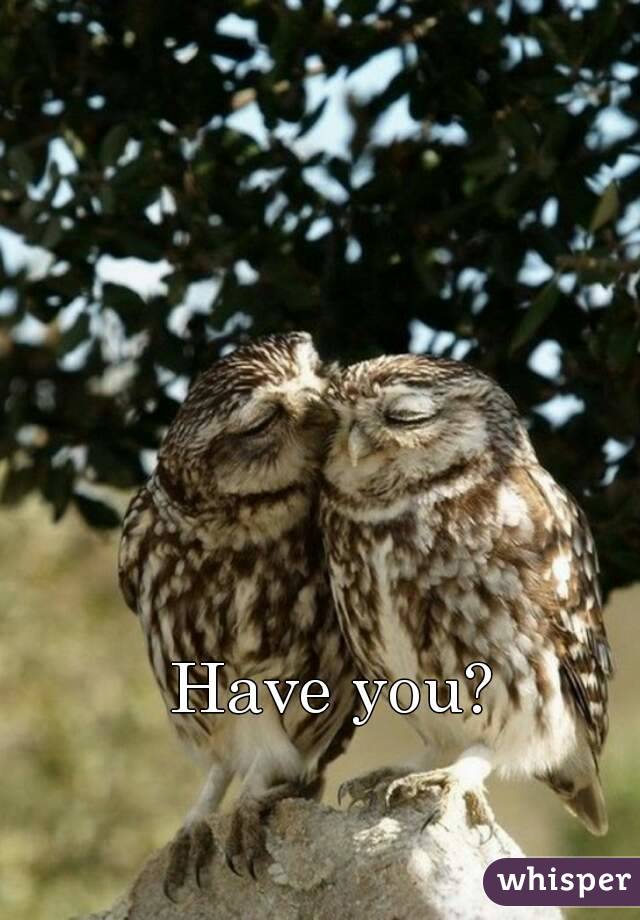 Have you?