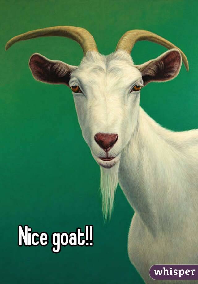 Nice goat!!