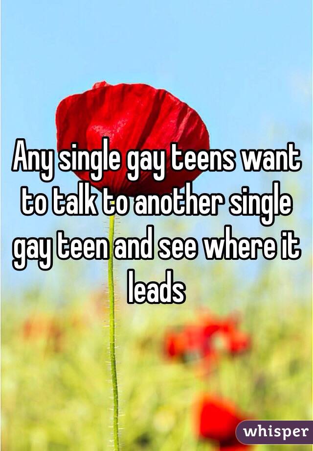 Any single gay teens want to talk to another single gay teen and see where it leads