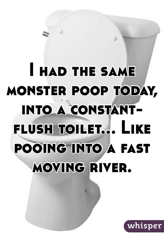 I had the same monster poop today, into a constant-flush toilet... Like pooing into a fast moving river. 