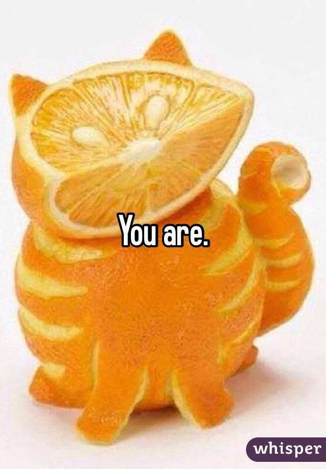 You are. 