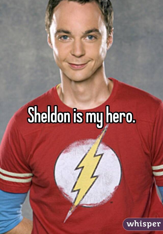 Sheldon is my hero. 