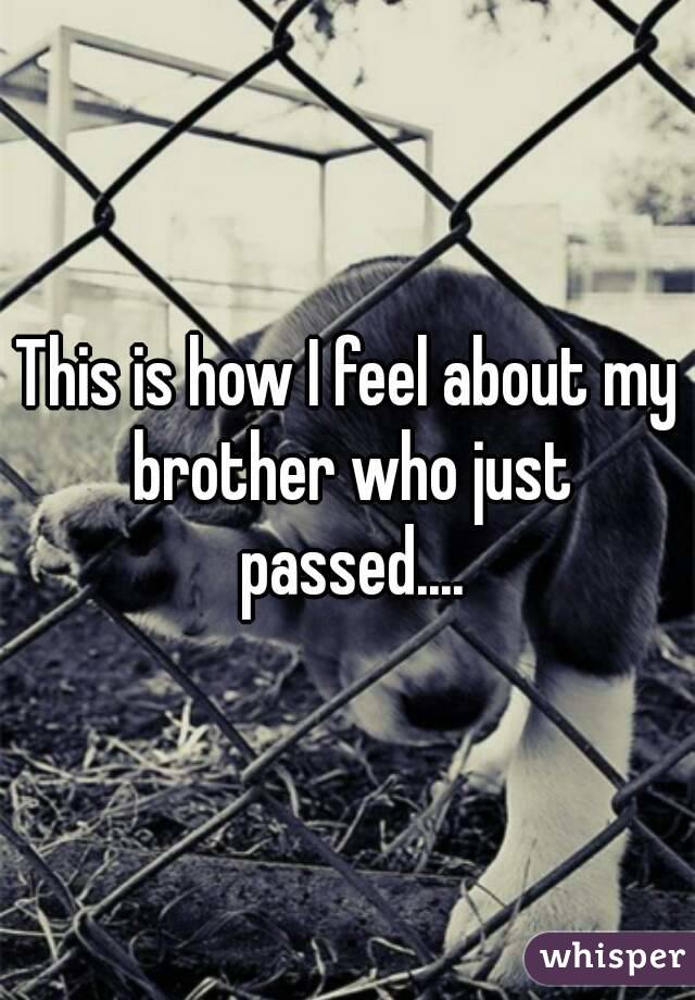 This is how I feel about my brother who just passed....