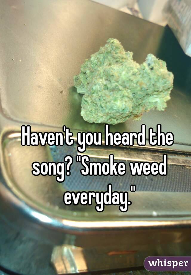 Haven't you heard the song? "Smoke weed everyday."