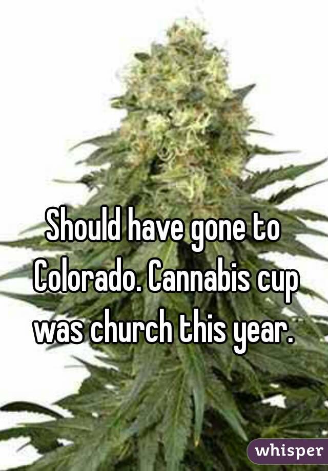 Should have gone to Colorado. Cannabis cup was church this year. 