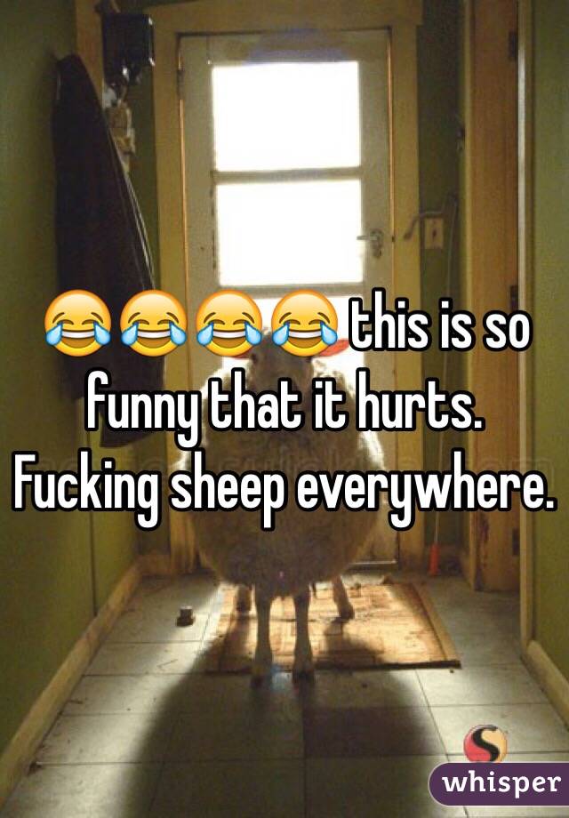 😂😂😂😂 this is so funny that it hurts. Fucking sheep everywhere.