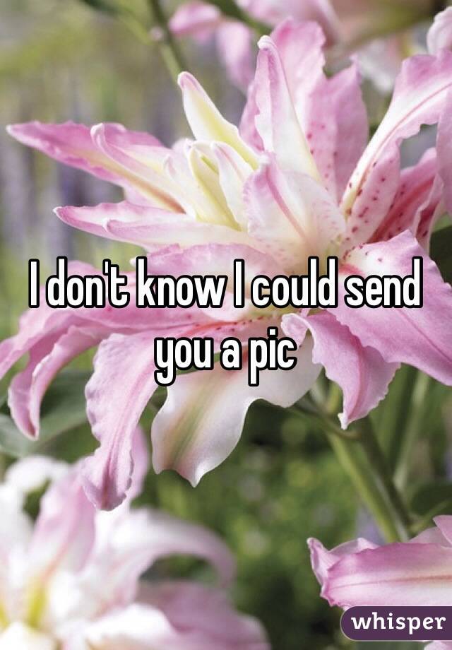 I don't know I could send you a pic 