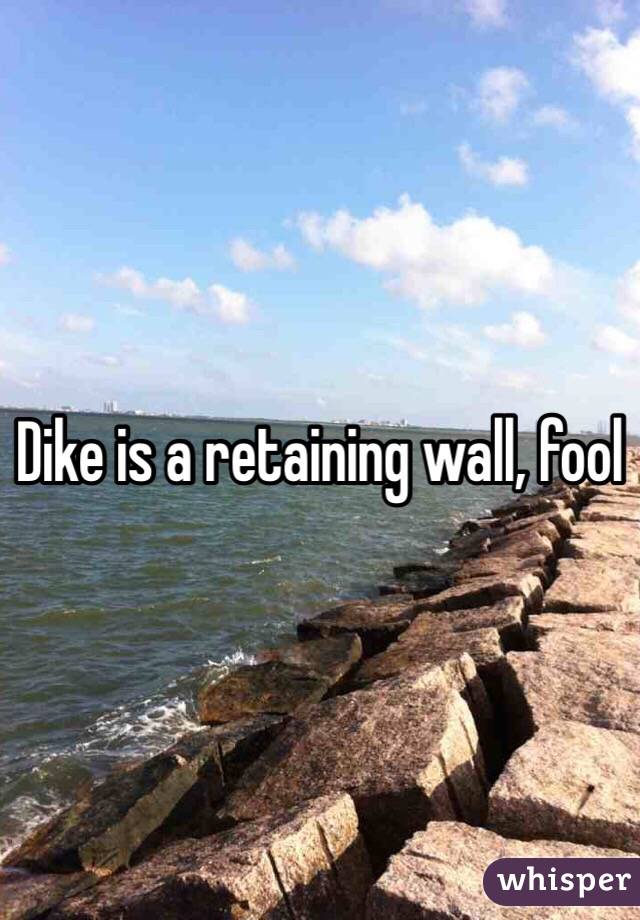 Dike is a retaining wall, fool