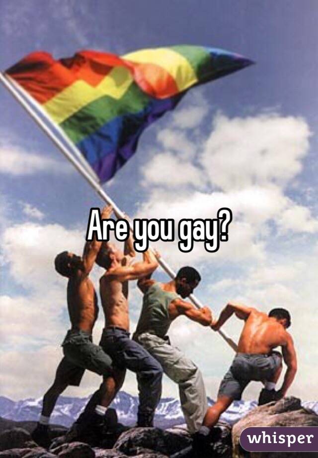 Are you gay?