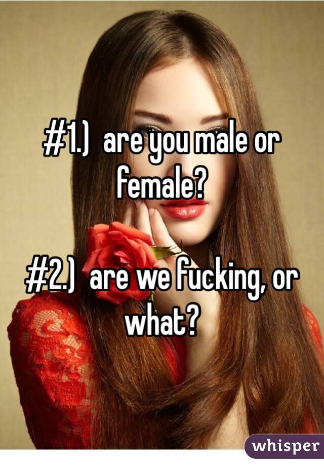 #1.)  are you male or female?

#2.)  are we fucking, or what?