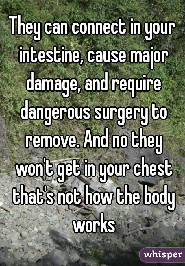 They can connect in your intestine, cause major damage, and require dangerous surgery to remove. And no they won't get in your chest that's not how the body works