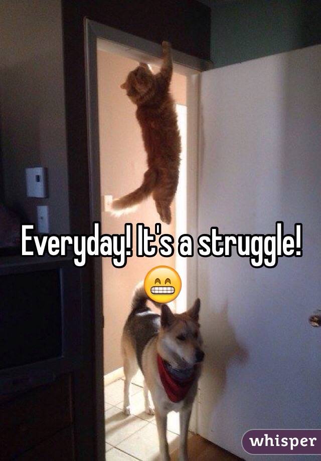 Everyday! It's a struggle! 😁