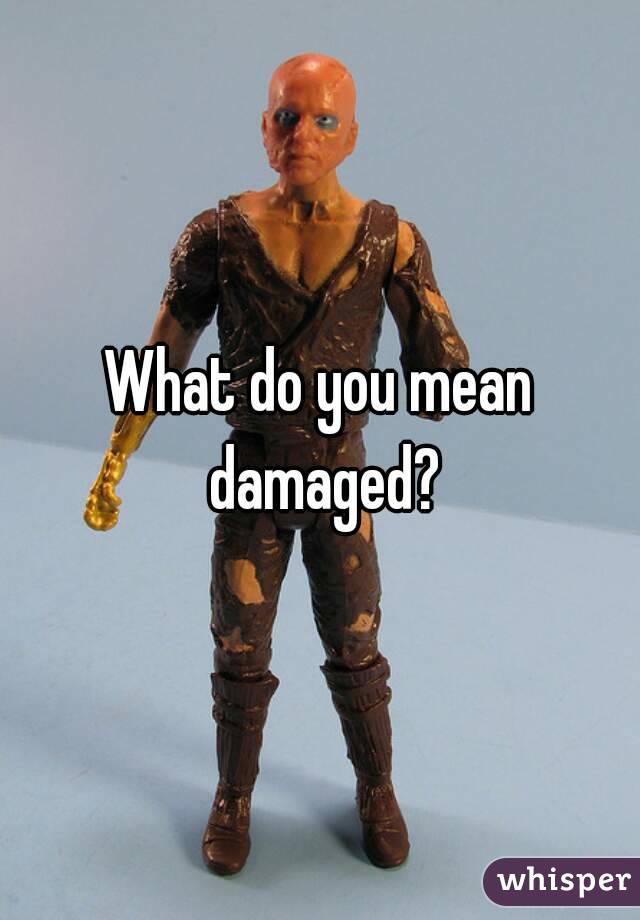 What do you mean damaged?
