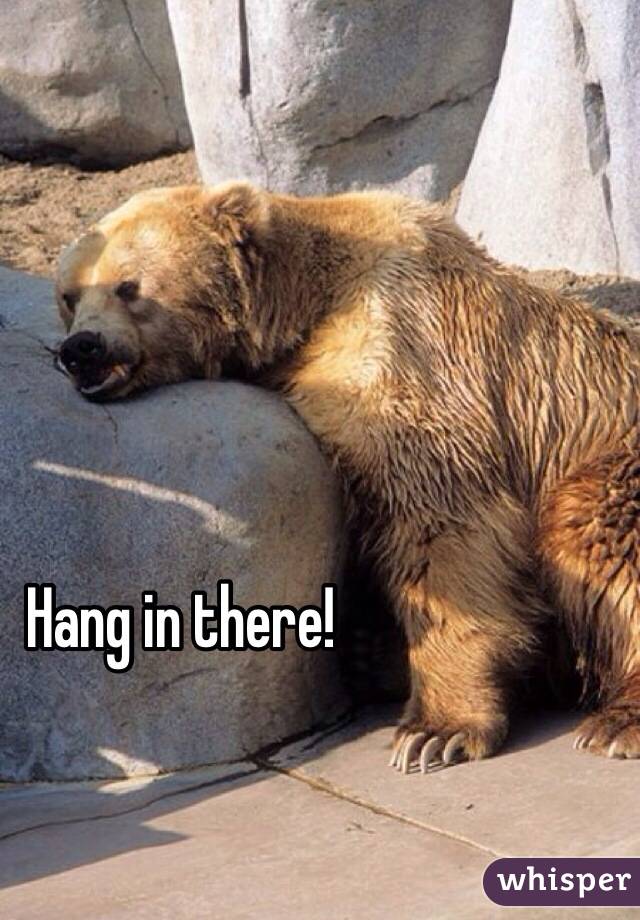 Hang in there! 