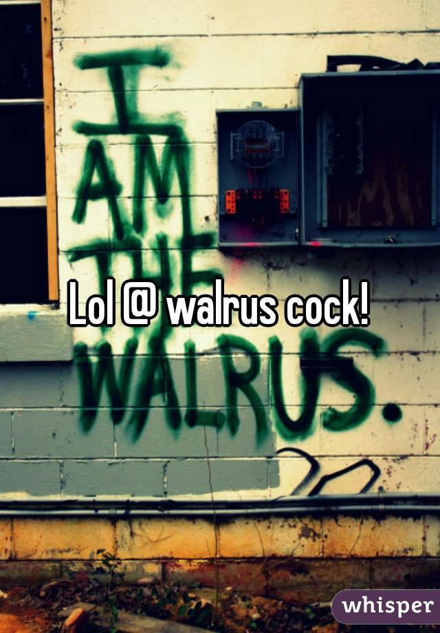 Lol @ walrus cock!