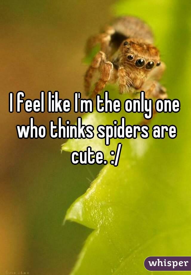 I feel like I'm the only one who thinks spiders are cute. :/
