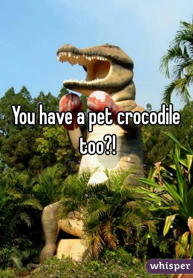 You have a pet crocodile too?!