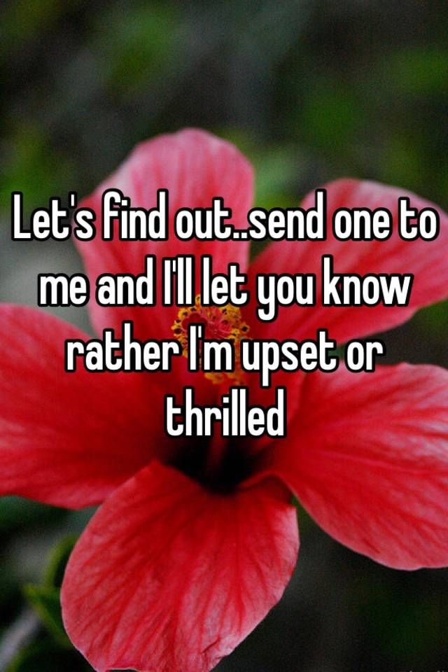 let-s-find-out-send-one-to-me-and-i-ll-let-you-know-rather-i-m-upset