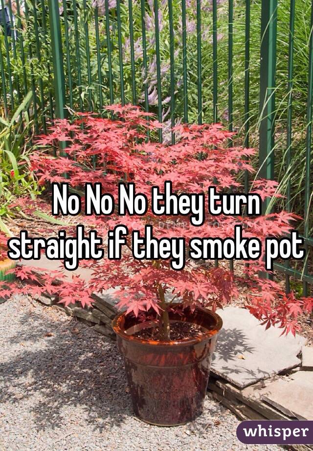 No No No they turn straight if they smoke pot
