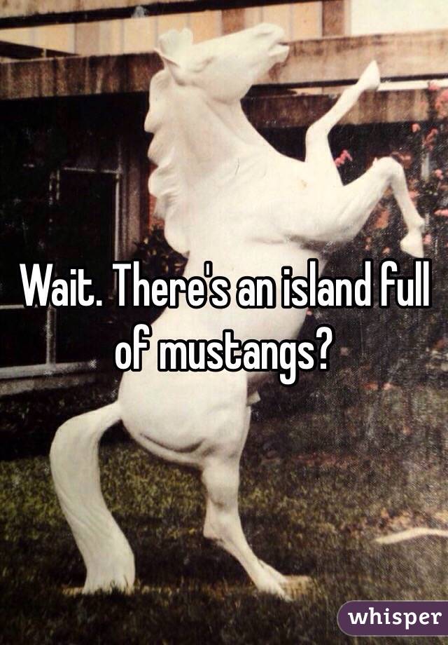 Wait. There's an island full of mustangs?