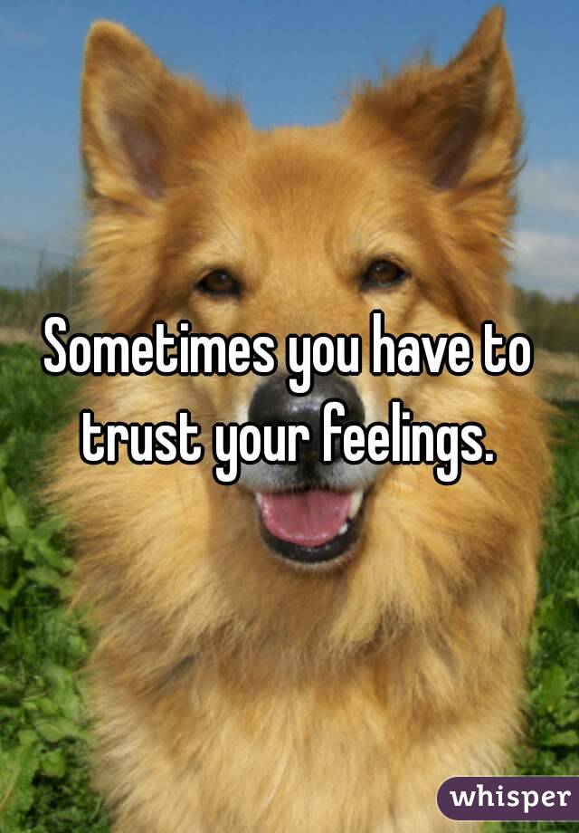 Sometimes you have to trust your feelings. 