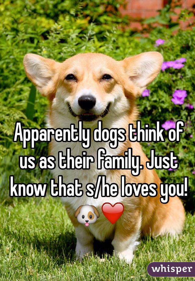 Apparently dogs think of us as their family. Just know that s/he loves you! 🐶❤️