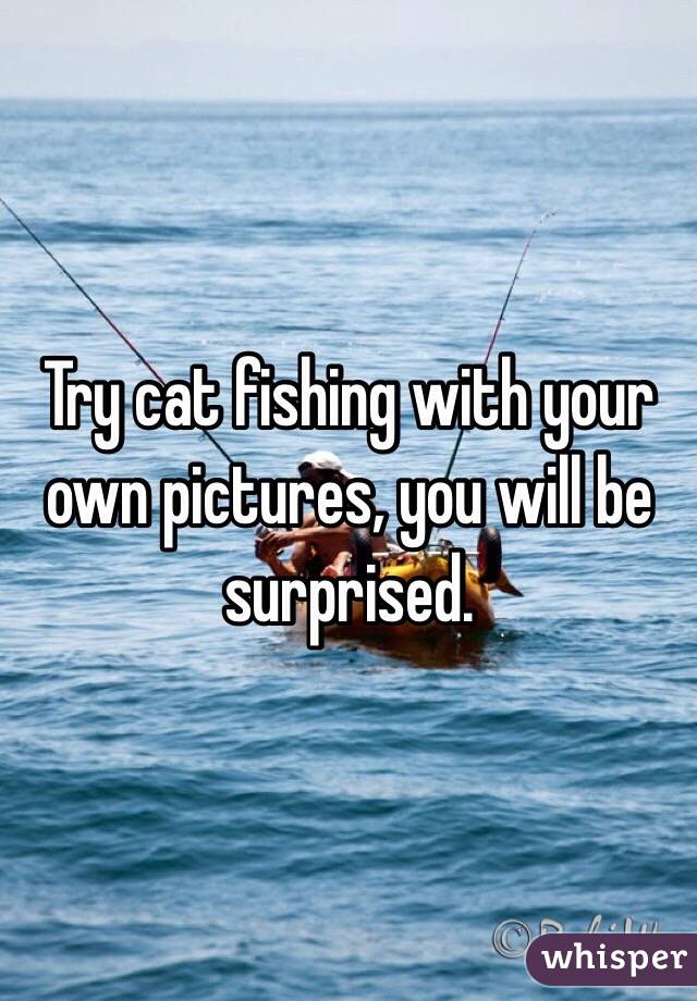 Try cat fishing with your own pictures, you will be surprised.