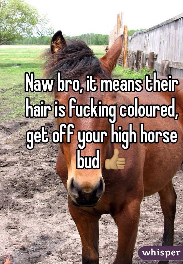 Naw bro, it means their hair is fucking coloured, get off your high horse bud 👍🏽