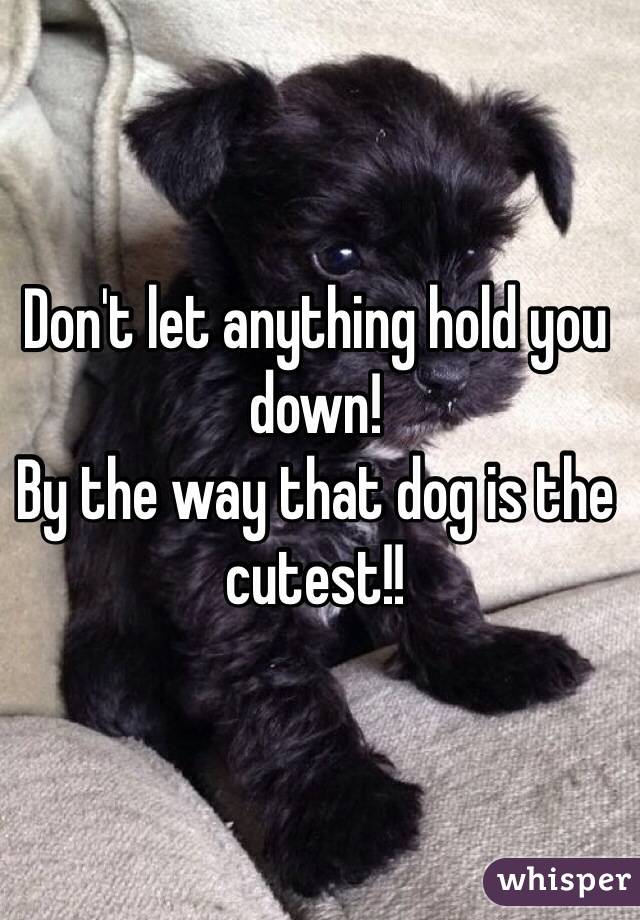 Don't let anything hold you down!
By the way that dog is the cutest!!