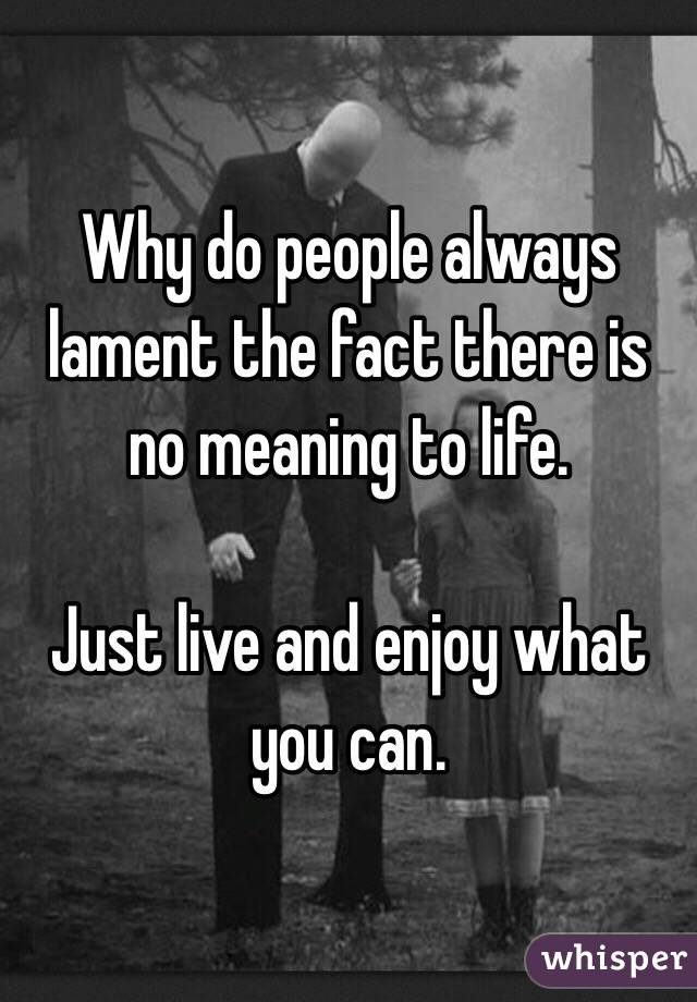 Why do people always lament the fact there is no meaning to life. 

Just live and enjoy what you can. 