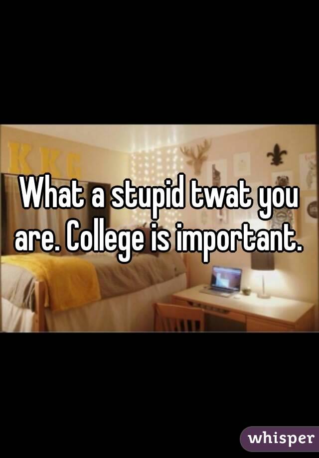 What a stupid twat you are. College is important. 