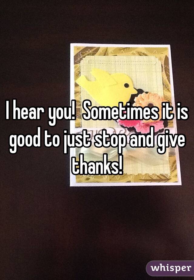 I hear you!  Sometimes it is good to just stop and give thanks!